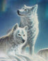 White Wolves Pair Diamond Painting